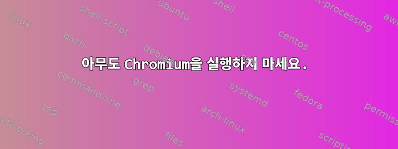 아무도 Chromium을 실행하지 마세요.