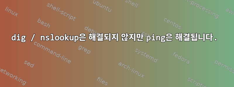 dig / nslookup은 해결되지 않지만 ping은 해결됩니다.