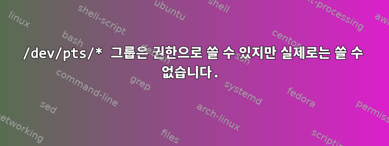 /dev/pts/* 그룹은 권한으로 쓸 수 있지만 실제로는 쓸 수 없습니다.