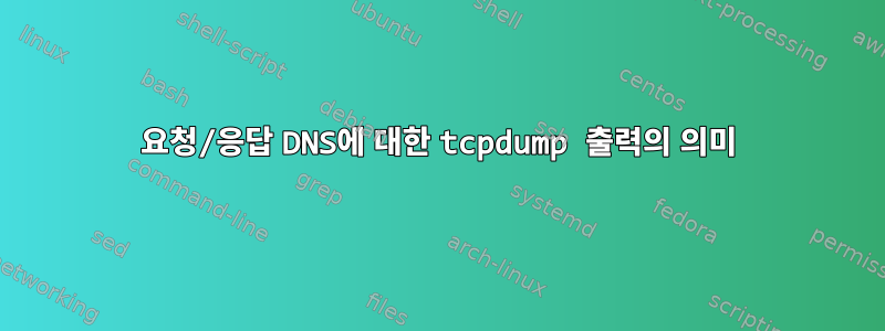 요청/응답 DNS에 대한 tcpdump 출력의 의미