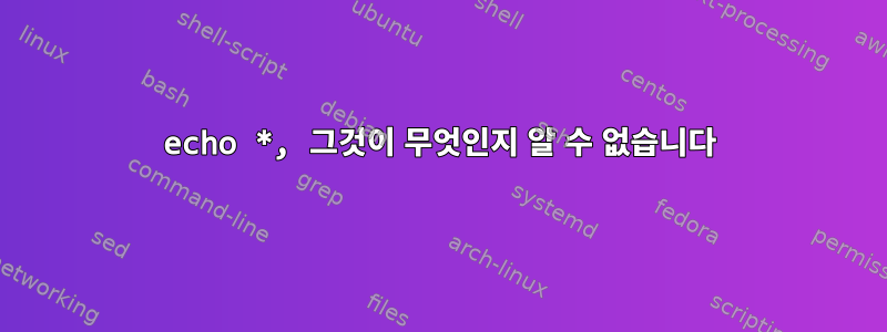 echo *, 그것이 무엇인지 알 수 없습니다