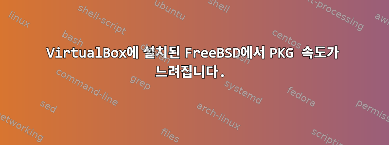 VirtualBox에 설치된 FreeBSD에서 PKG 속도가 느려집니다.