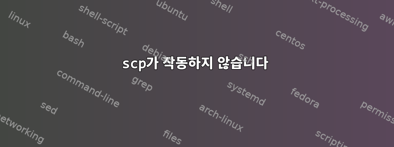 scp가 작동하지 않습니다