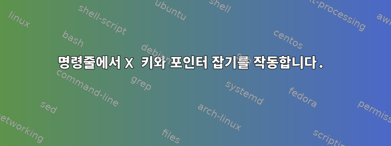 명령줄에서 X 키와 포인터 잡기를 작동합니다.