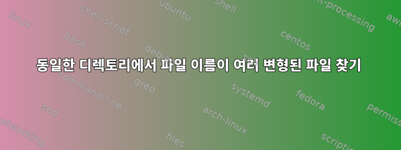 동일한 디렉토리에서 파일 이름이 여러 변형된 파일 찾기