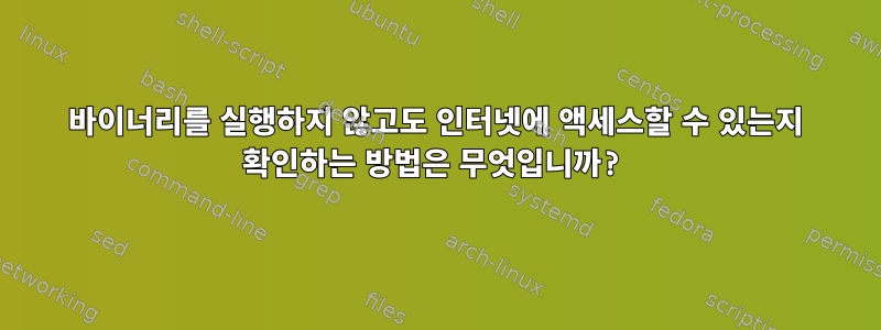 바이너리를 실행하지 않고도 인터넷에 액세스할 수 있는지 확인하는 방법은 무엇입니까?