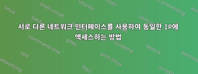 서로 다른 네트워크 인터페이스를 사용하여 동일한 IP에 액세스하는 방법