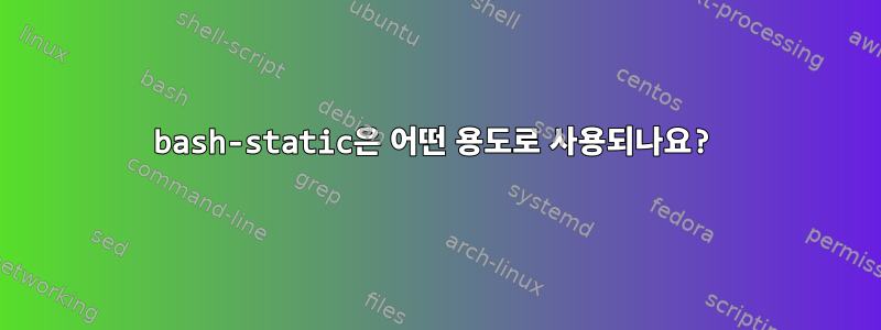 bash-static은 어떤 용도로 사용되나요?