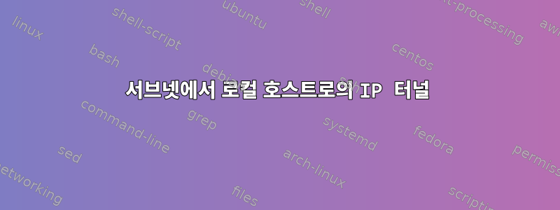 서브넷에서 로컬 호스트로의 IP 터널