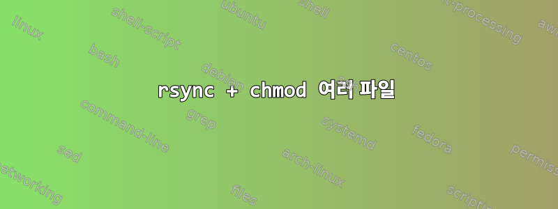 rsync + chmod 여러 파일