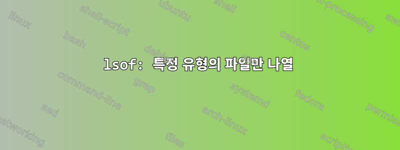 lsof: 특정 유형의 파일만 나열