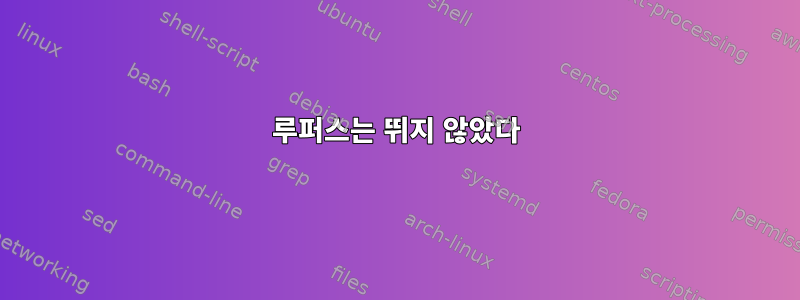 루퍼스는 뛰지 않았다