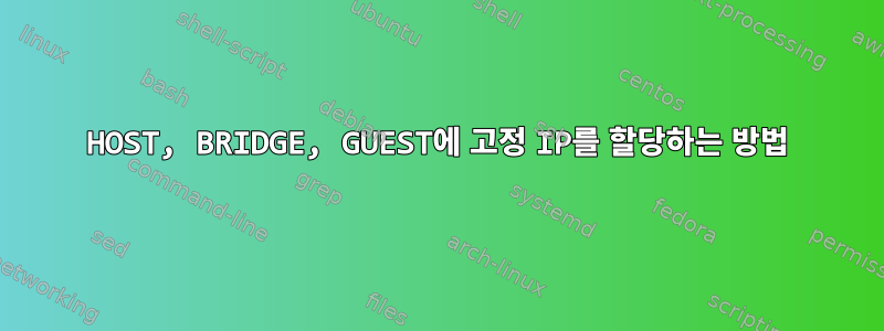 HOST, BRIDGE, GUEST에 고정 IP를 할당하는 방법