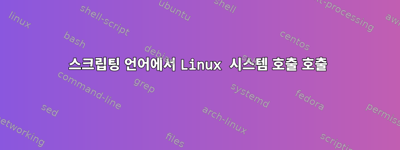 스크립팅 언어에서 Linux 시스템 호출 호출