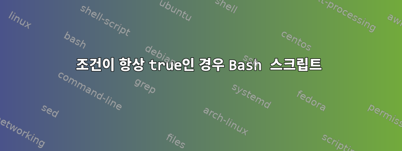 조건이 항상 true인 경우 Bash 스크립트