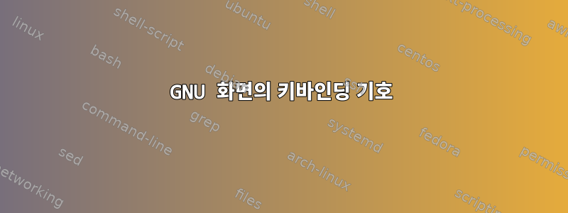 GNU 화면의 키바인딩 기호