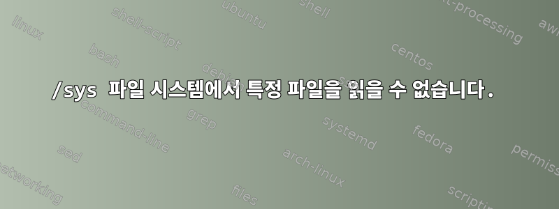 /sys 파일 시스템에서 특정 파일을 읽을 수 없습니다.