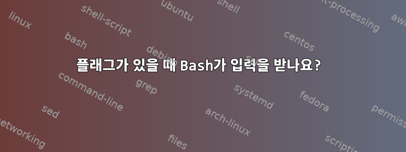 플래그가 있을 때 Bash가 입력을 받나요?