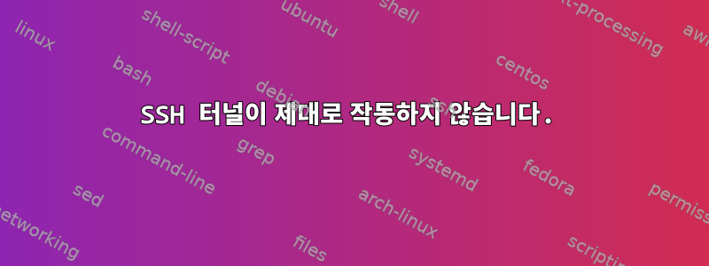 SSH 터널이 제대로 작동하지 않습니다.