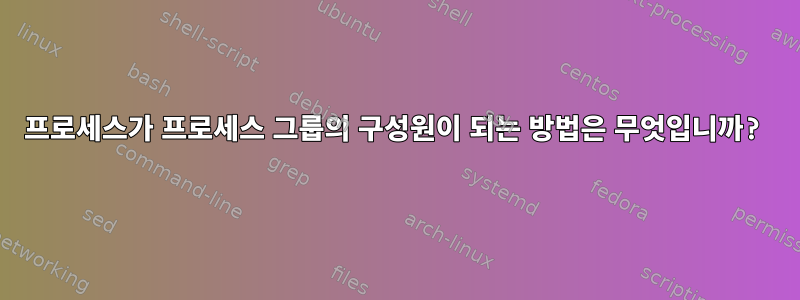 프로세스가 프로세스 그룹의 구성원이 되는 방법은 무엇입니까?