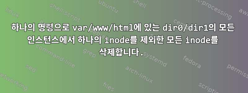 하나의 명령으로 var/www/html에 있는 dir0/dir1의 모든 인스턴스에서 하나의 inode를 제외한 모든 inode를 삭제합니다.