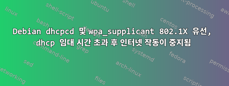 Debian dhcpcd 및 wpa_supplicant 802.1X 유선, dhcp 임대 시간 초과 후 인터넷 작동이 중지됨