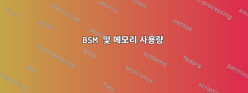 BSM 및 메모리 사용량