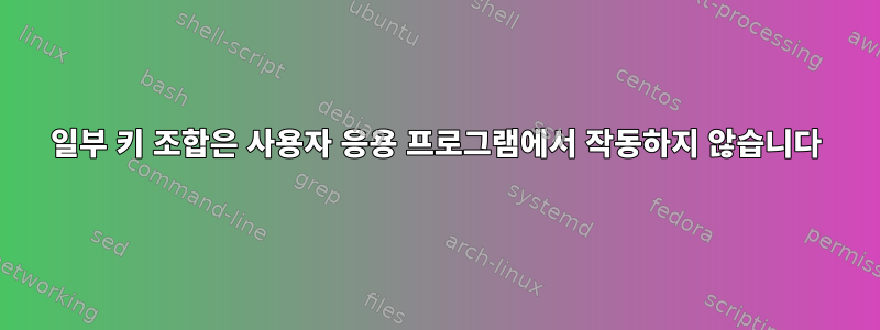 일부 키 조합은 사용자 응용 프로그램에서 작동하지 않습니다