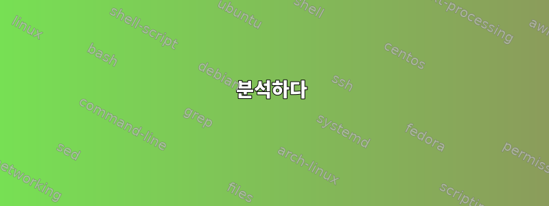 분석하다