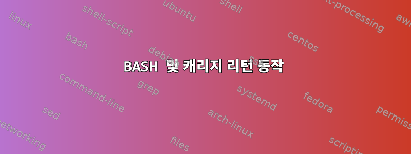 BASH 및 캐리지 리턴 동작