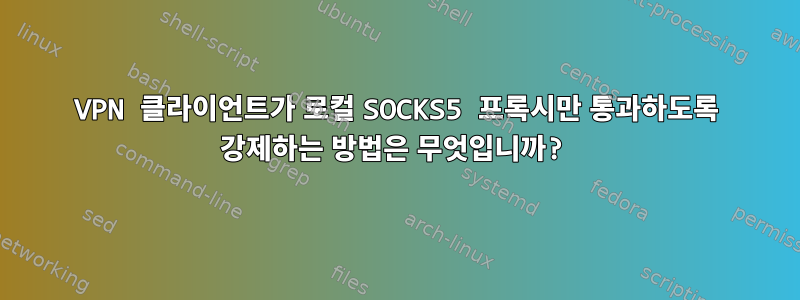 VPN 클라이언트가 로컬 SOCKS5 프록시만 통과하도록 강제하는 방법은 무엇입니까?