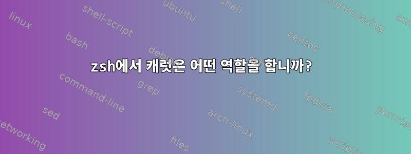 zsh에서 캐럿은 어떤 역할을 합니까?