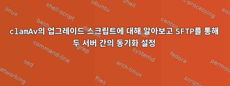 clamAv의 업그레이드 스크립트에 대해 알아보고 SFTP를 통해 두 서버 간의 동기화 설정