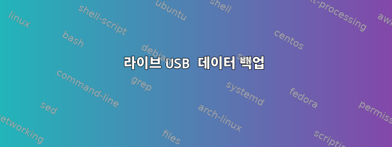 라이브 USB 데이터 백업