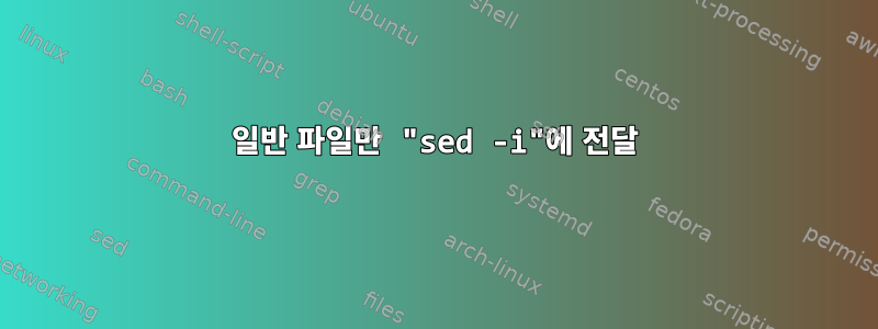 일반 파일만 "sed -i"에 전달