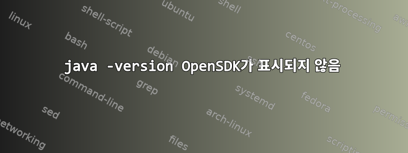 java -version OpenSDK가 표시되지 않음