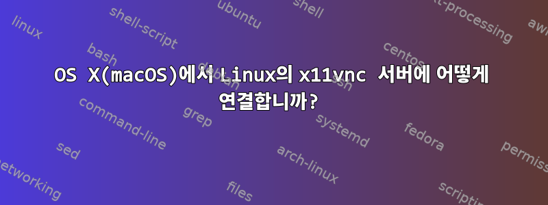 OS X(macOS)에서 Linux의 x11vnc 서버에 어떻게 연결합니까?