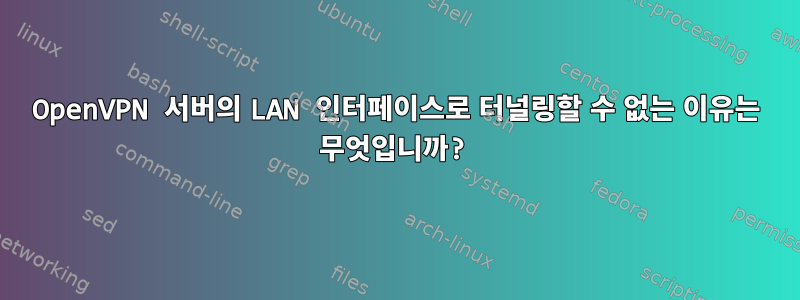 OpenVPN 서버의 LAN 인터페이스로 터널링할 수 없는 이유는 무엇입니까?