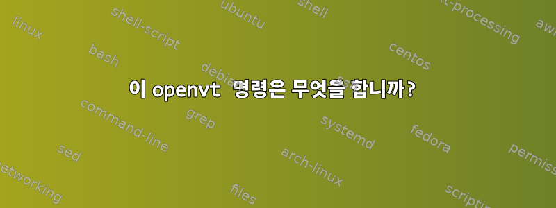 이 openvt 명령은 무엇을 합니까?