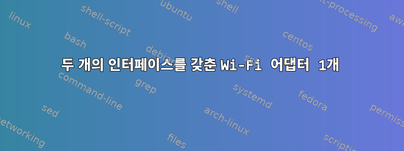 두 개의 인터페이스를 갖춘 Wi-Fi 어댑터 1개