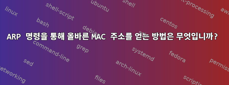 ARP 명령을 통해 올바른 MAC 주소를 얻는 방법은 무엇입니까?