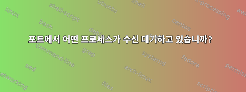 포트에서 어떤 프로세스가 수신 대기하고 있습니까?