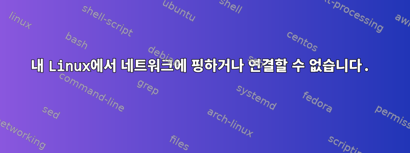 내 Linux에서 네트워크에 핑하거나 연결할 수 없습니다.