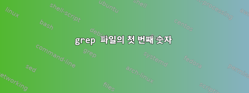 grep 파일의 첫 번째 숫자