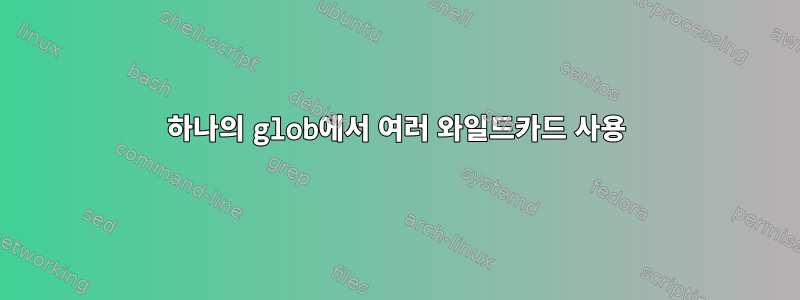 하나의 glob에서 여러 와일드카드 사용