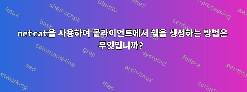 netcat을 사용하여 클라이언트에서 쉘을 생성하는 방법은 무엇입니까?