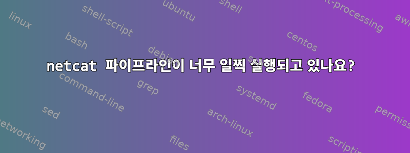 netcat 파이프라인이 너무 일찍 실행되고 있나요?