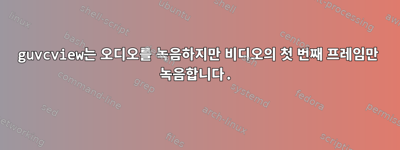 guvcview는 오디오를 녹음하지만 비디오의 첫 번째 프레임만 녹음합니다.