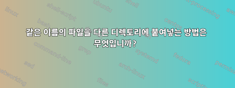 같은 이름의 파일을 다른 디렉토리에 붙여넣는 방법은 무엇입니까?