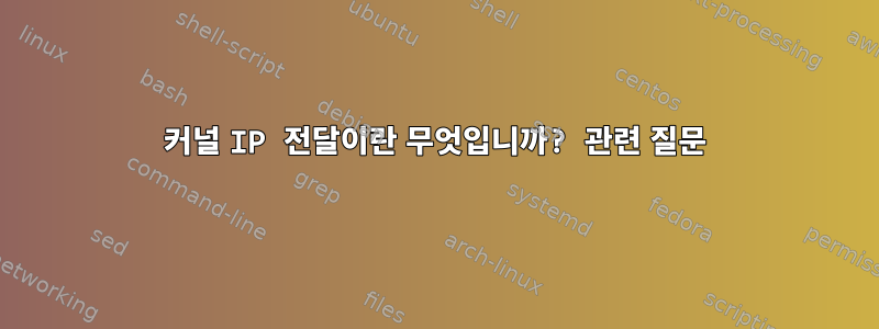 커널 IP 전달이란 무엇입니까? 관련 질문